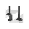 Кріплення для двох моніторів Brateck 17"-32"  (LDT66-C024)