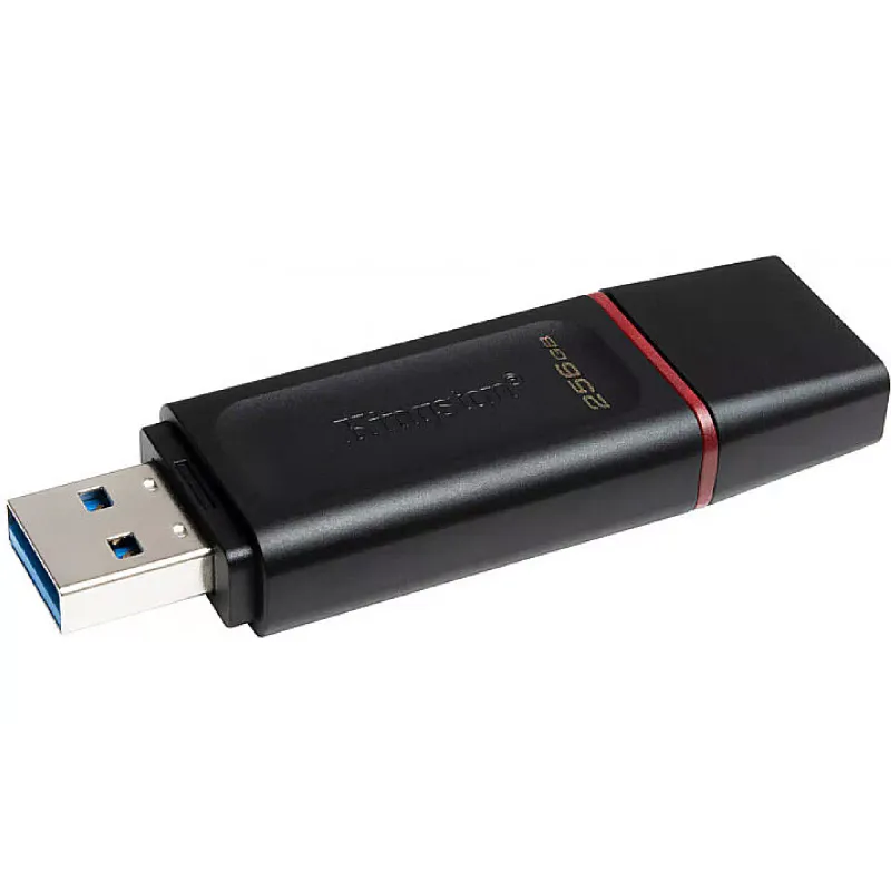 USB устройство Kingston, Black (DTX/256GB)