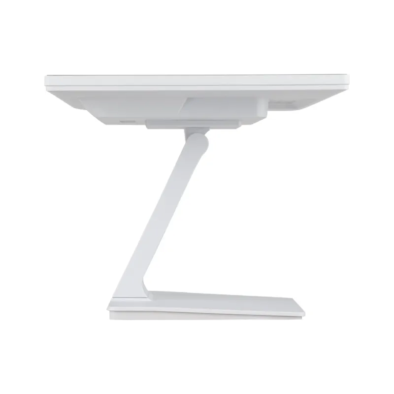 Monitor Iiyama (T2452MSC-W1)