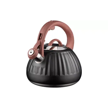 Wasserkocher Ardesto, Black (AR1958KS)