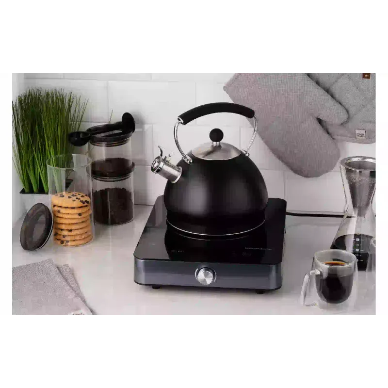 Induktions-Elektroherd Ardesto, Black (ICS-B116)