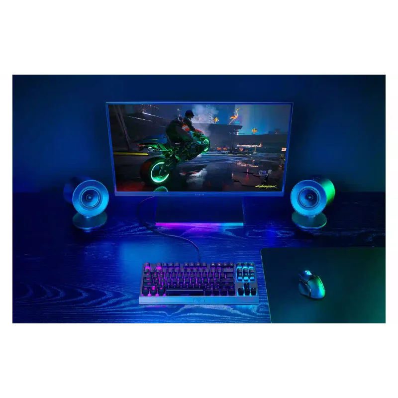 Акустична система Razer, Black (RZ05-04760100-R3G1)