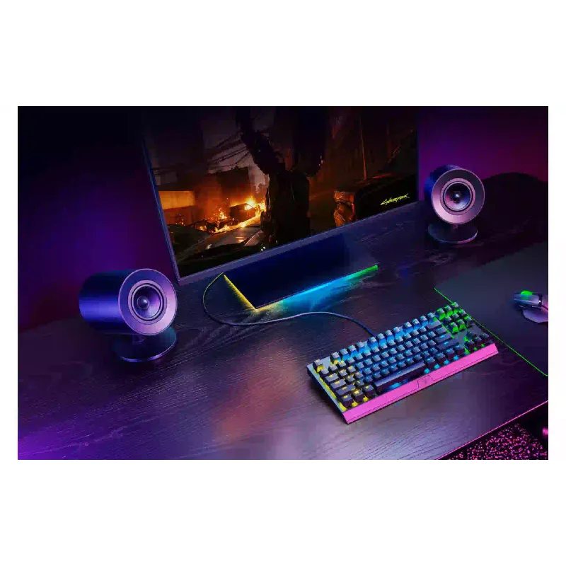 Акустична система Razer, Black (RZ05-04760100-R3G1)