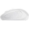 Миша Trust Primo (24795_TRUST), Matte White