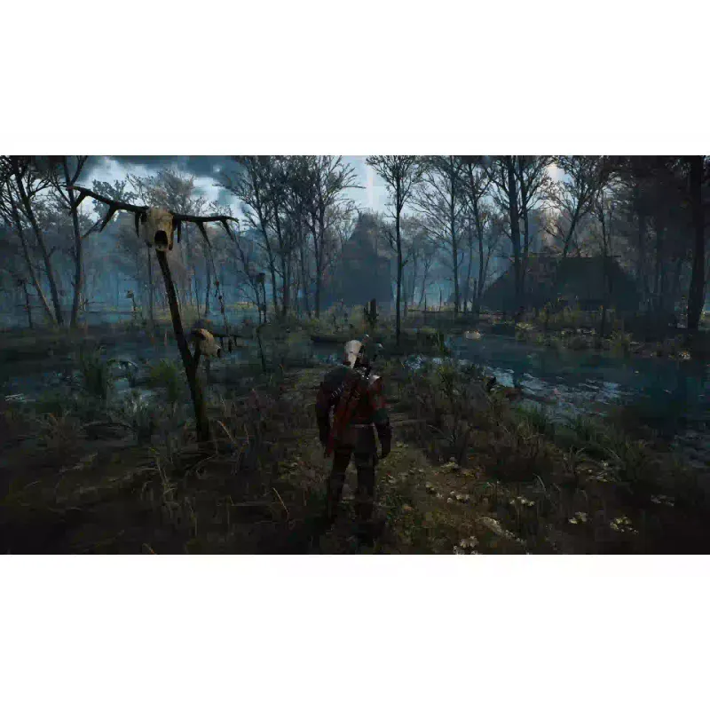 Игра Games Software The Witcher 3 Wild Hunt Complete Edition (5902367641610)