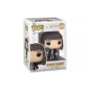 Figurica Funko Harry Potter (5908305241591)