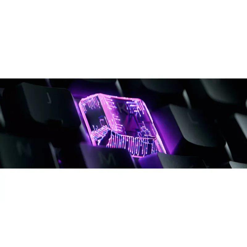 Mechanische Tastatur Razer, Black (RZ03-04881800-R371)