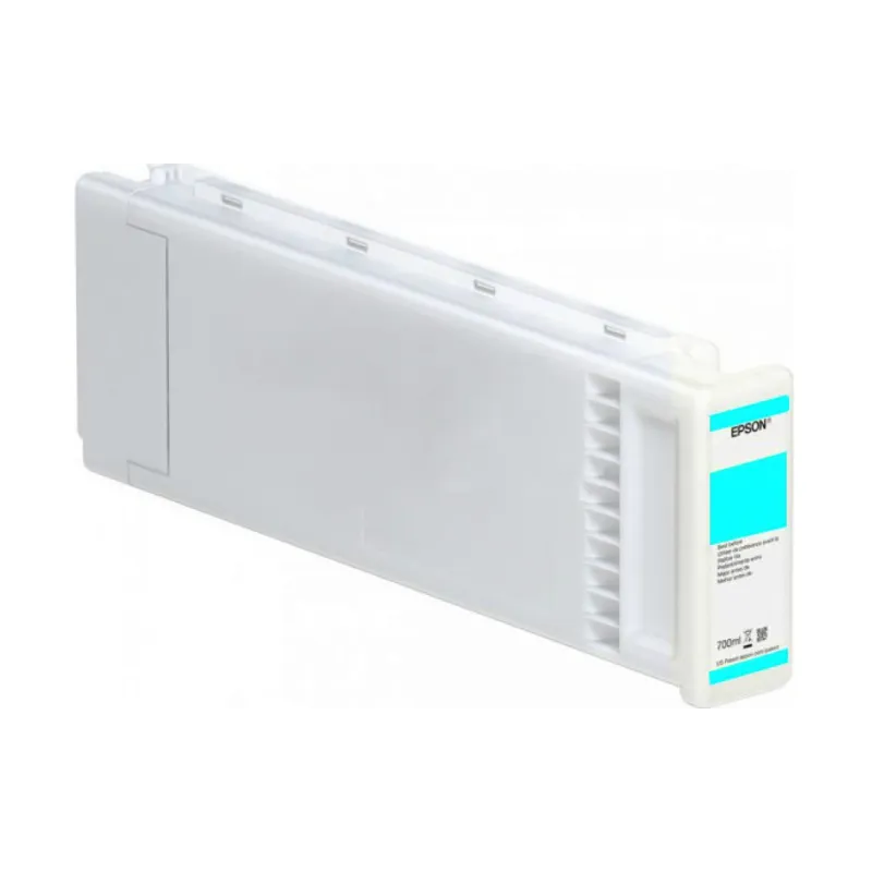 Tinte Epson (C13T891200)