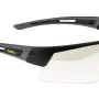 Protective glasses DeWALT (DPG100-9D)