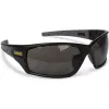 Protective glasses DeWALT (DPG101-2D)