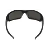 Protective glasses DeWALT (DPG101-2D)