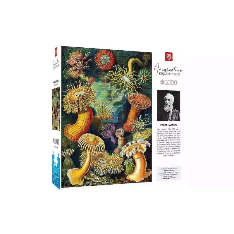 Quebra-cabeça GoodLoot (5908305244943)