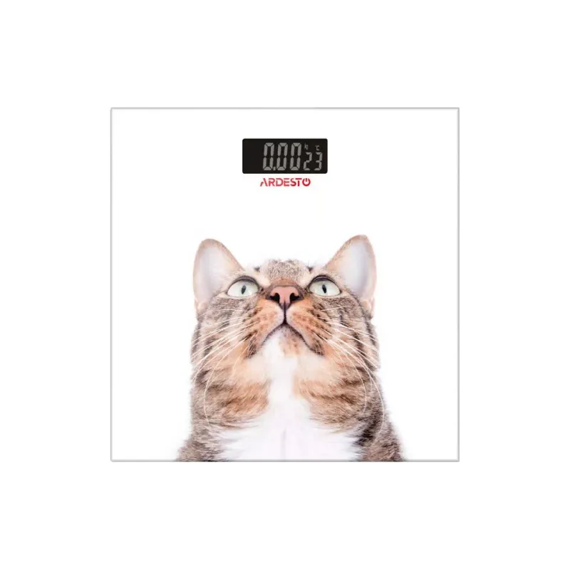 Bodenwaagen Ardesto (SCB-965CAT)