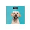 Talne tehtnice Ardesto (SCB-965DOG)