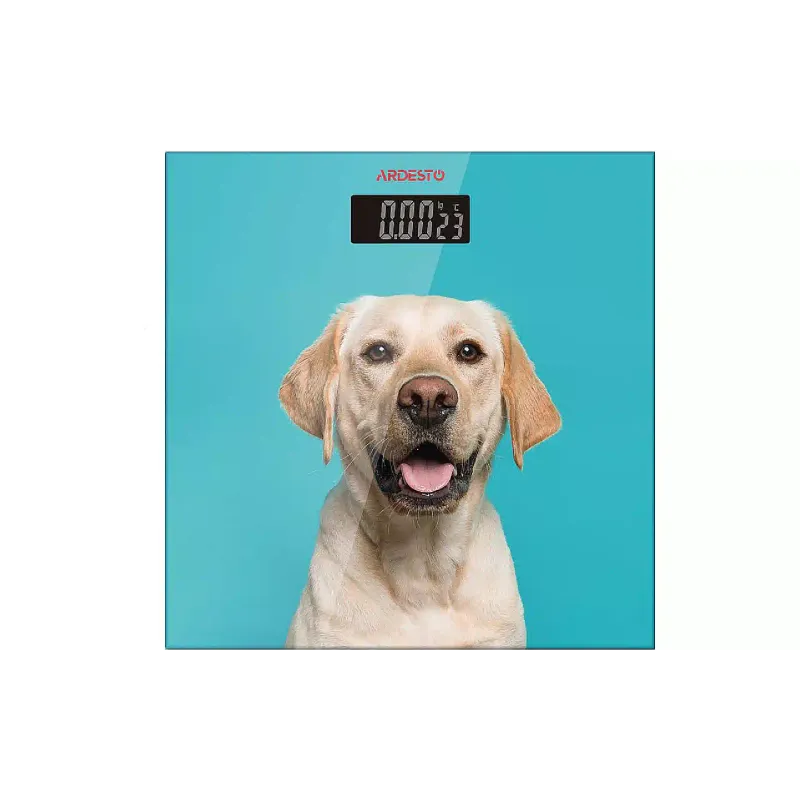 Talne tehtnice Ardesto (SCB-965DOG)