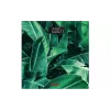 مقاييس الأرضية Ardesto, Multi-Collors (SCB-965LEAVES)