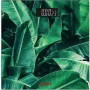 مقاييس الأرضية Ardesto, Multi-Collors (SCB-965LEAVES)