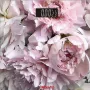 Подови везни Ardesto (SCB-965PEONIES)