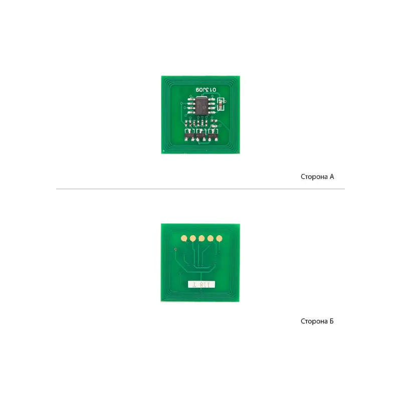 Chip WWM, Black (JYD-XM118T)