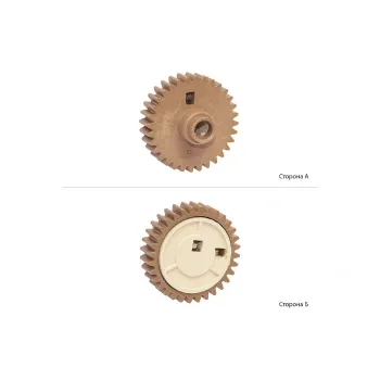 Ελαστικό γρανάζι άξονα Foshan (RU2-2399-Foshan)