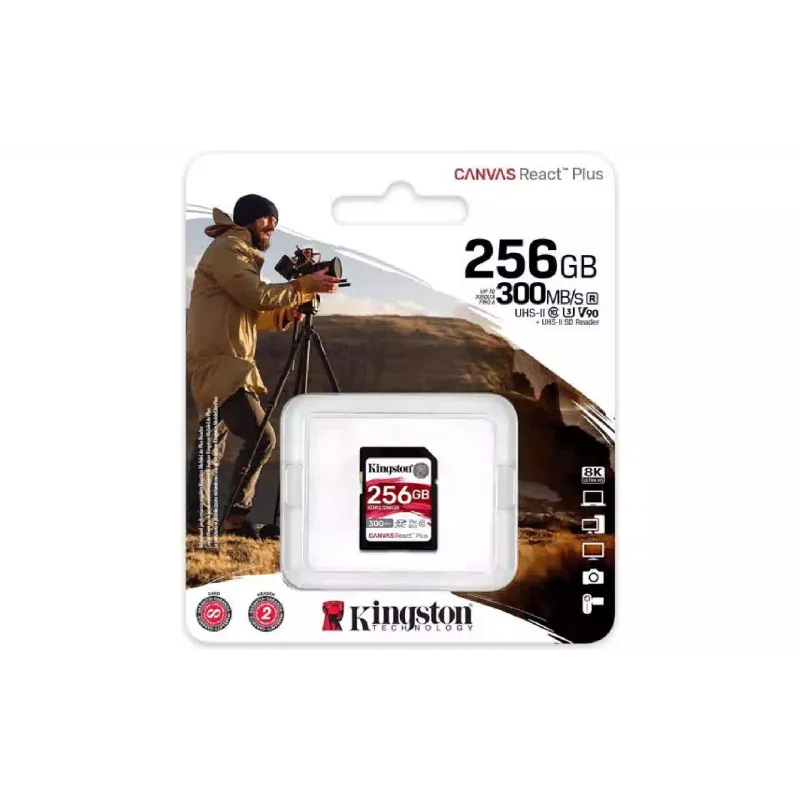 Speicherkarte Kingston (SDR2/256GB)