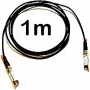Cable Cisco (SFP-H10GB-CU1M=)