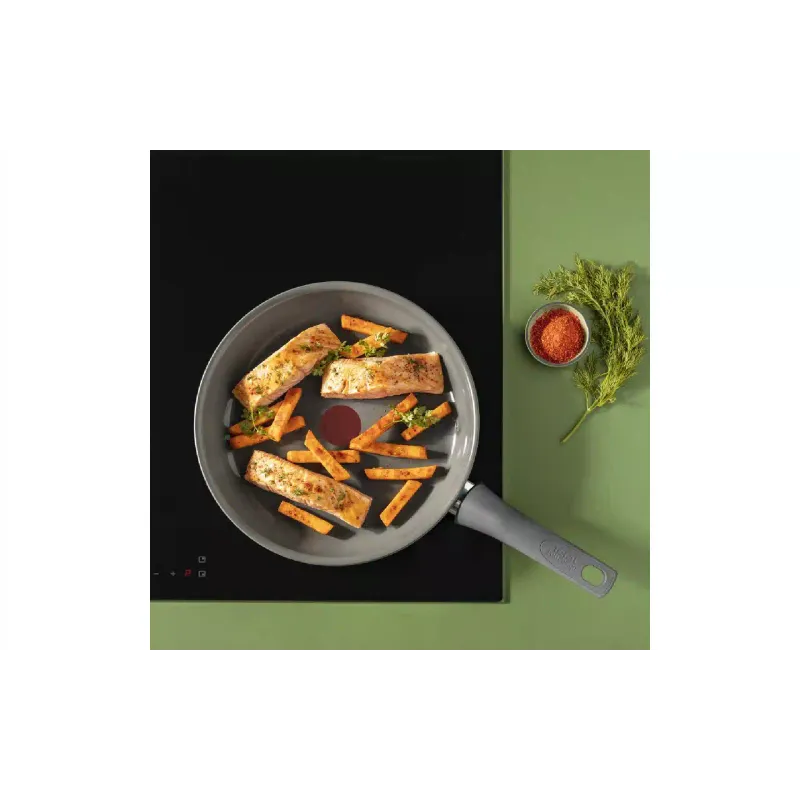 Ponev Tefal Renewal, Gray (C4260643)