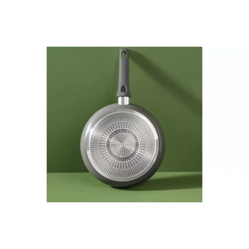 Ponev Tefal Renewal, Gray (C4260443)