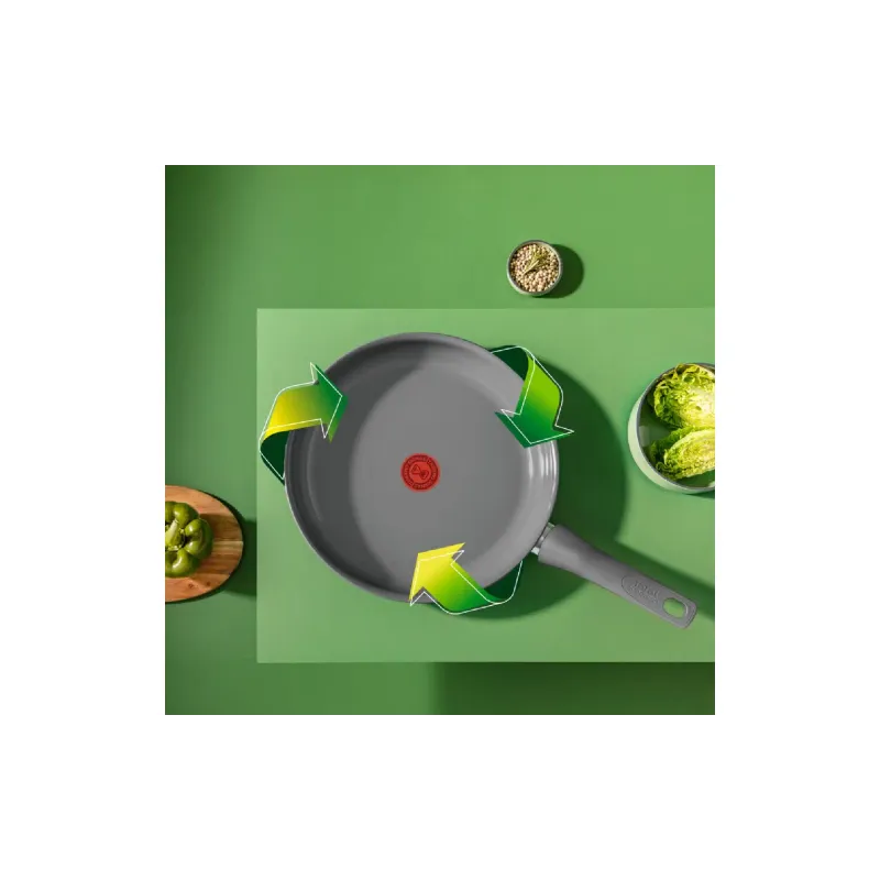 Ponev Tefal Renewal, Gray (C4260643)