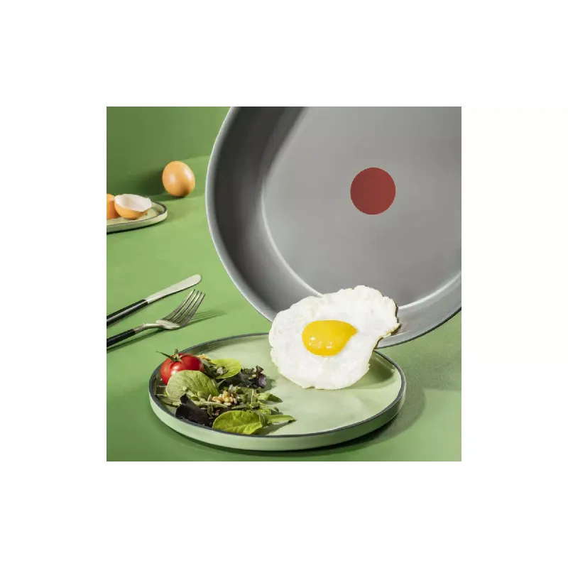 Ponev Tefal Renewal, Gray (C4260643)