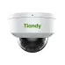 IP видеокамера Tiandy (TC-C34KN)