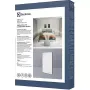 Filter Electrolux (EFWBTH3)