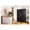 Fridge Gorenje (R619EABK6), Black