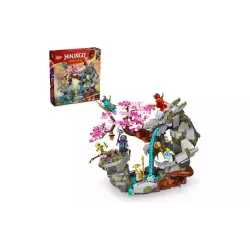 Конструктор LEGO NINJAGO Dragon Stone Shrine (71819) Конструктор LEGO NINJAGO Dragon Stone Shrine (71819)