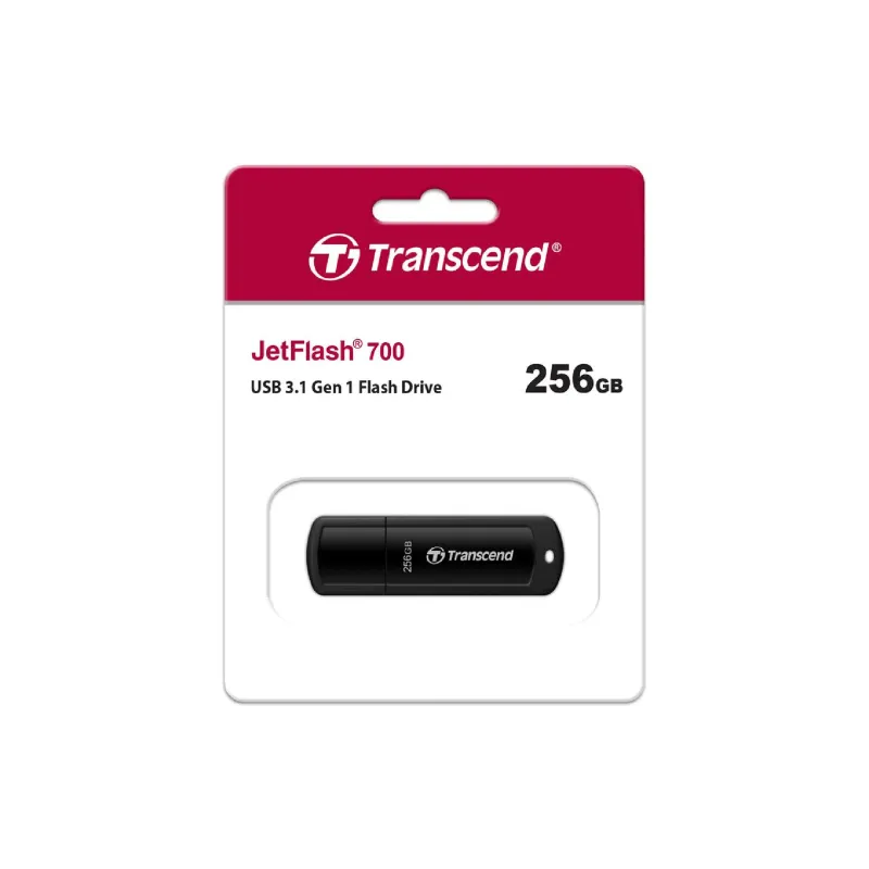 USB устройство Transcend (TS256GJF700)