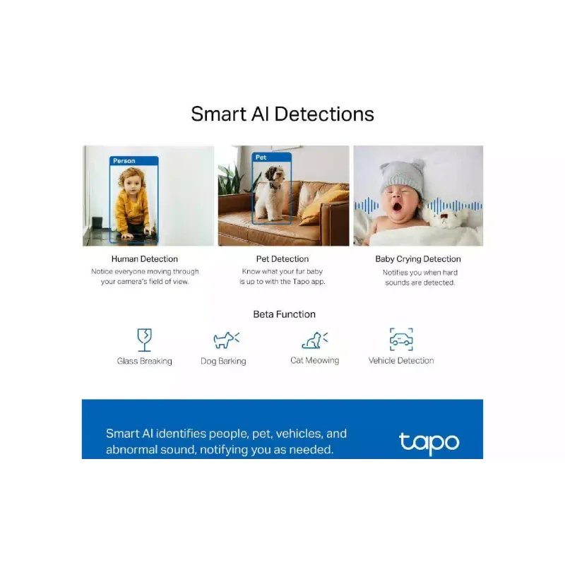 كاميرا فيديو IP TP-Link (Tapo C220)