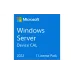 Software Microsoft, Ice (R18-06412)