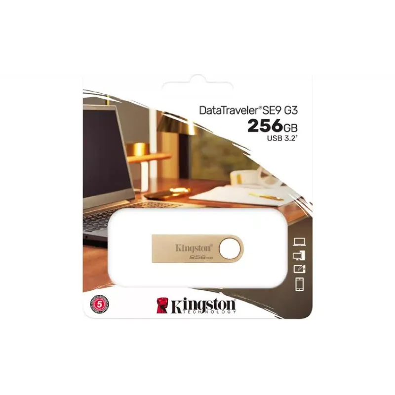 Накопитель USB Kingston 256Gb (DTSE9G3/256GB)