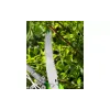 Tesoura Verto (15G260)