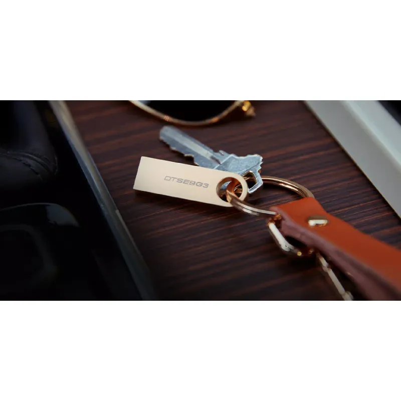 Накопитель USB Kingston 256Gb (DTSE9G3/256GB)