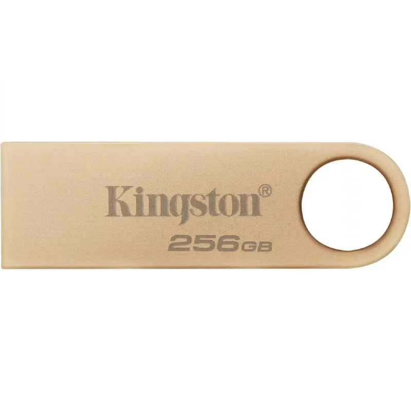 Накопитель USB Kingston 256Gb (DTSE9G3/256GB)