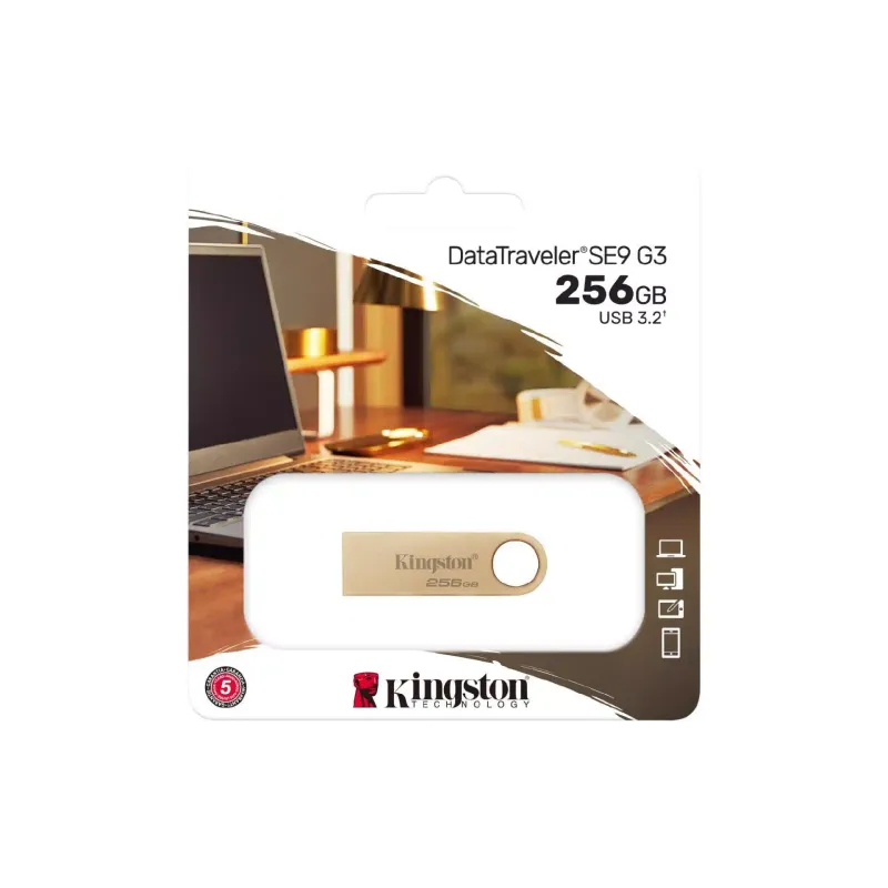 Накопитель USB Kingston 256Gb (DTSE9G3/256GB)
