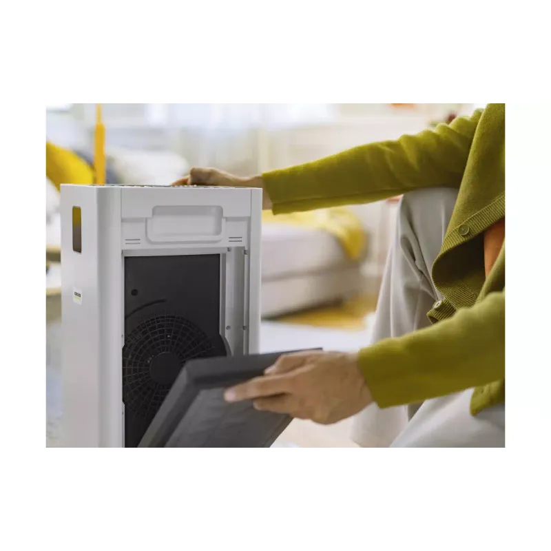 Luftreiniger Karcher, White (1.024-822.0)