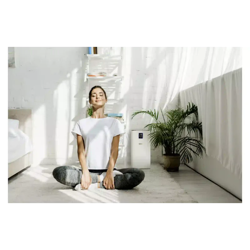 Luftreiniger Karcher, White (1.024-822.0)