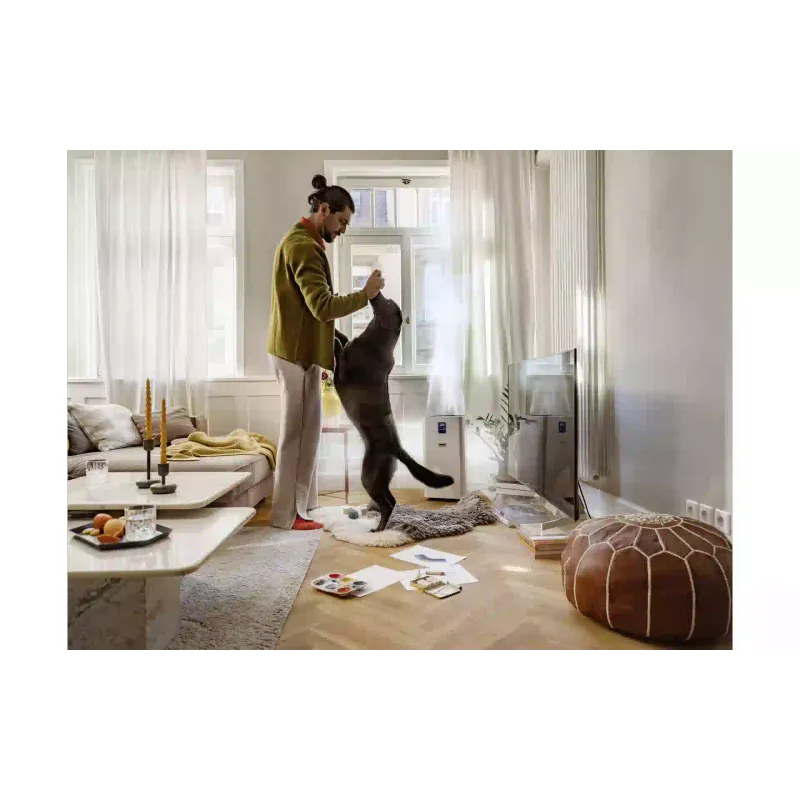 Luftreiniger Karcher, White (1.024-822.0)