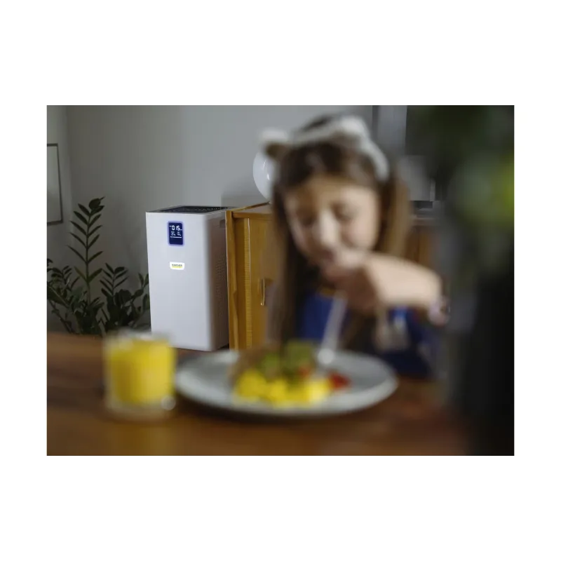 Luftreiniger Karcher, White (1.024-822.0)