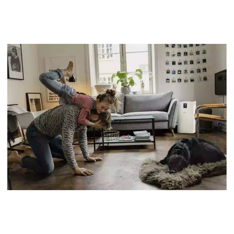 Luftreiniger Karcher, White (1.024-822.0)