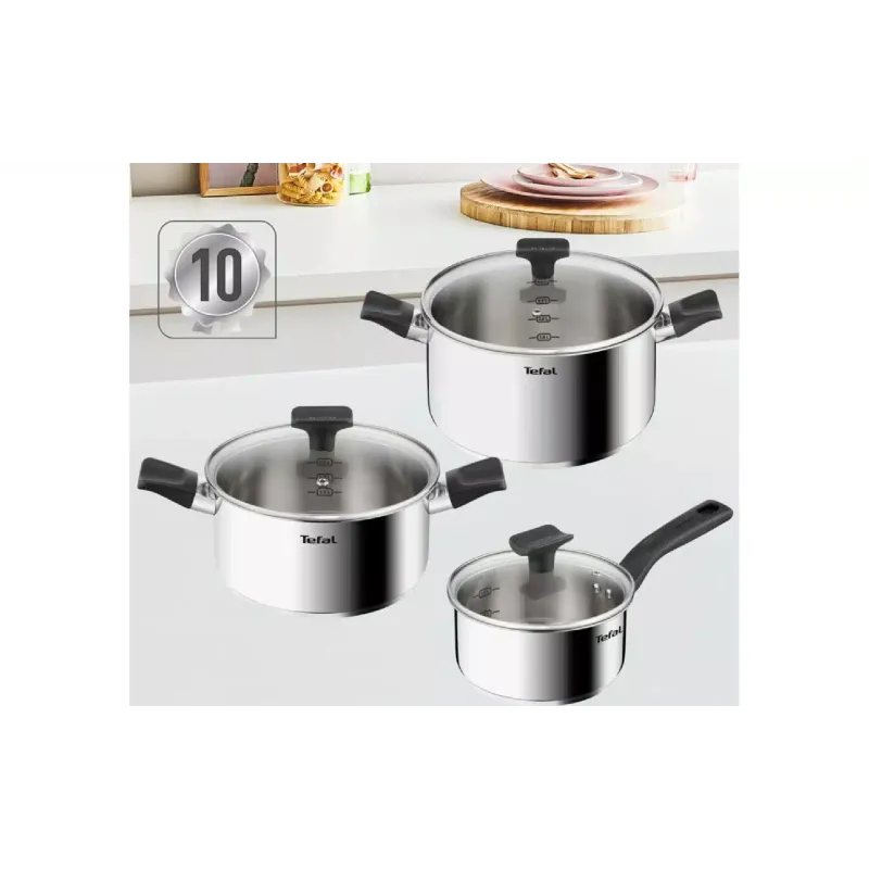 Набор кухонной посуды Tefal Delicious, нерж. сталь/стекло, 6 шт (B925S655)