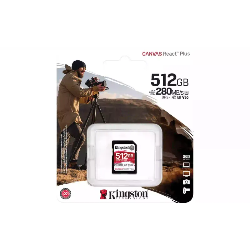 بطاقة الذاكرة Kingston (SDR2V6/512GB)