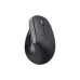 Rato Trust (25145_TRUST)